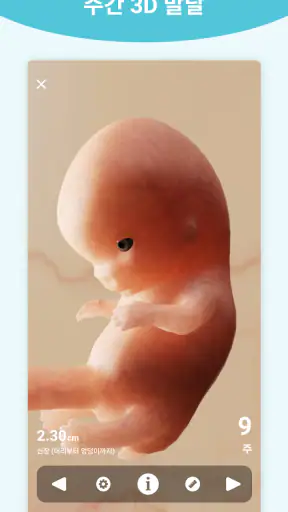 임신 + | 3D로 제공하는 주별 추적 앱 screenshot
