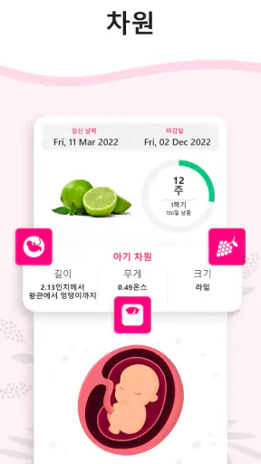 임신 계산기 및 달력 - 주별 임신 추적기 screenshot