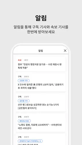조선일보 screenshot