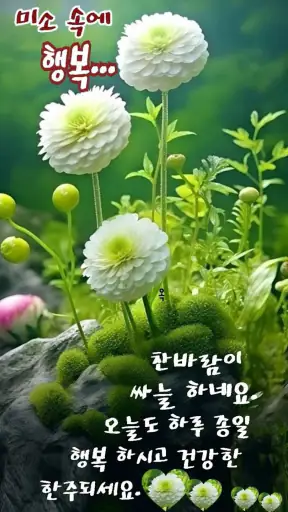 좋은 아침 & 좋은 아침 인사말 카드 screenshot