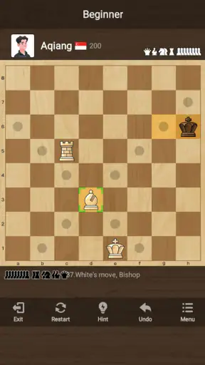 체스 ( Chess ) : 클래식 전략 보드 퍼즐 게임 screenshot