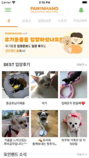 포인핸드 -유기동물 입양&실종동물 찾기(유기견,유기묘) screenshot