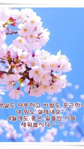 포토카드!mFun - 인사,문자 screenshot