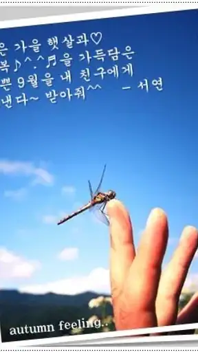 포토카드!mFun - 인사,문자 screenshot