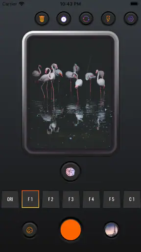 필름 카메라-레트로, 1998,아날로그 필름 screenshot