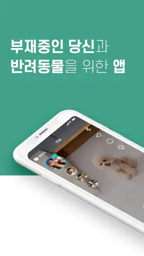 헬로코코 - 펫CCTV, AI 감지, 펫캠, 영상대화 screenshot