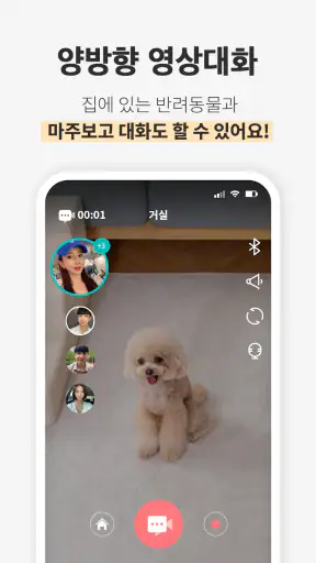 헬로코코 - 펫CCTV, AI 감지, 펫캠, 영상대화 screenshot