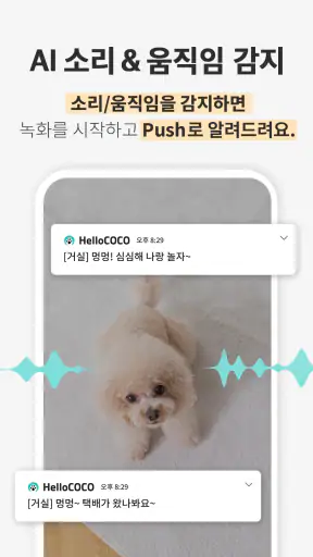 헬로코코 - 펫CCTV, AI 감지, 펫캠, 영상대화 screenshot