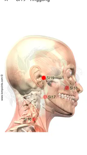 Acupuncture Assistant screenshot