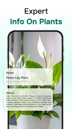 Ai Plant Identifer screenshot