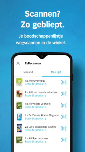 Albert Heijn supermarkt screenshot
