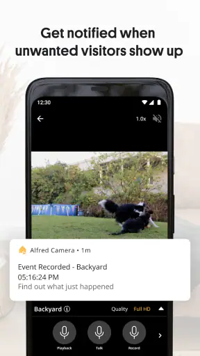 Alfred Home Security Camera screenshot