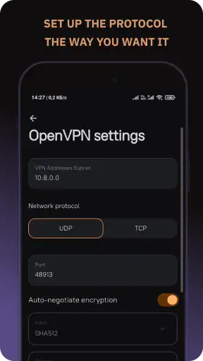 Amnezia VPN screenshot