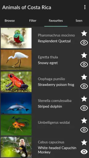 Animals of Costa Rica screenshot