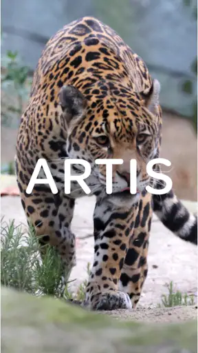 ARTIS screenshot