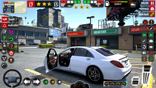 auto parkeren echt auto spel screenshot