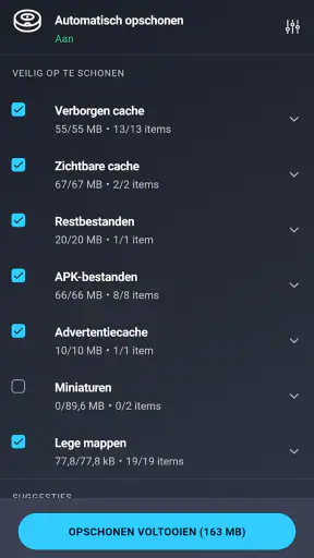 AVG Cleaner: opschonen screenshot