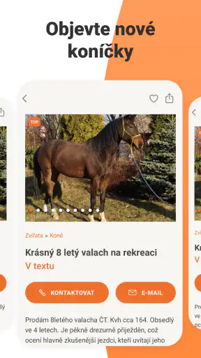 Bazoš: online bazar screenshot