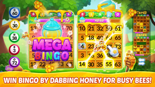 Bingo Aloha-Bingo tour at home screenshot