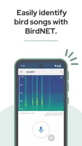 BirdNET screenshot