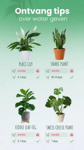 Blossom – Planten Herkennen screenshot