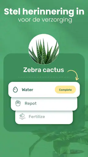 Blossom – Planten Herkennen screenshot