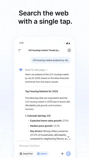 DeepSeek - AI Assistent screenshot