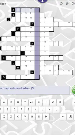Denksport NL screenshot