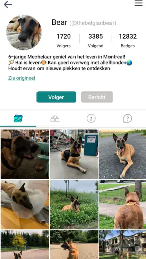 DogPack: Hondenparken en meer screenshot