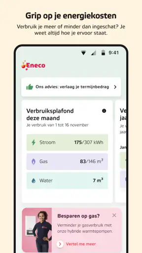 Eneco screenshot