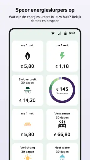 Eneco screenshot