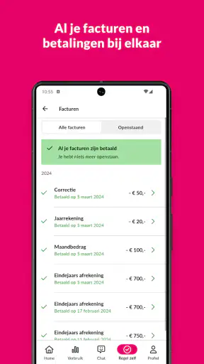 Essent screenshot