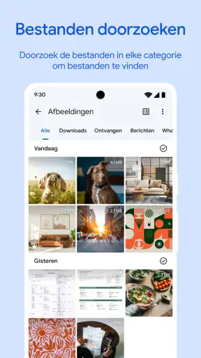 Files by Google screenshot