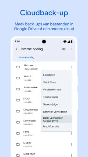Files by Google screenshot