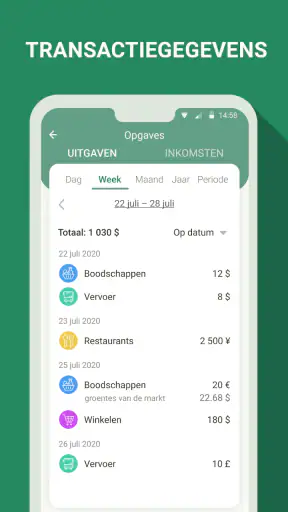 Financieel kosten manager screenshot
