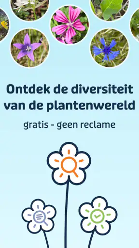 Flora Incognita screenshot