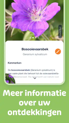 Flora Incognita screenshot
