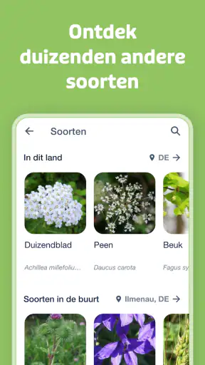 Flora Incognita screenshot