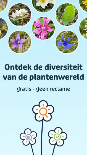 Flora Incognita screenshot