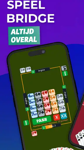Fun Bridge screenshot