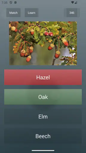 General Knowledge Quiz screenshot
