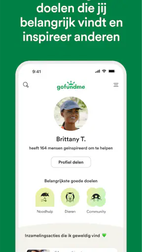 GoFundMe screenshot