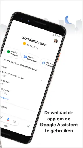 Google Assistent screenshot