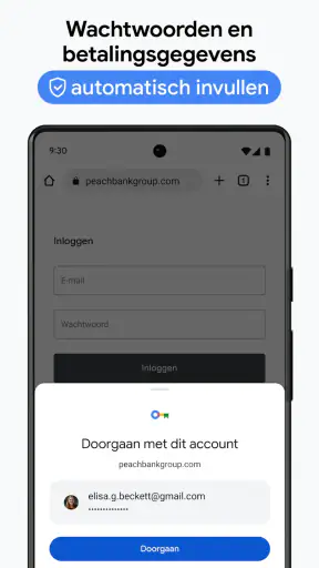 Google Chrome screenshot