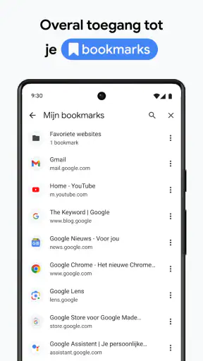 Google Chrome screenshot