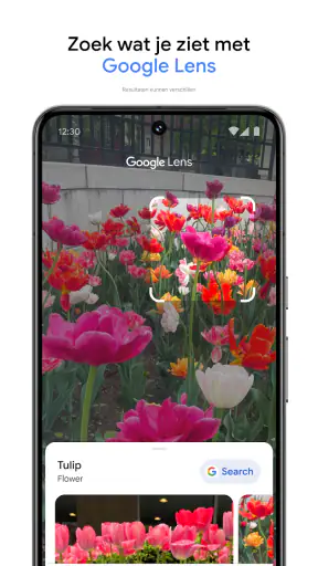 Google Foto's screenshot