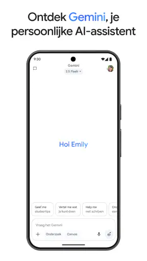 Google Gemini screenshot