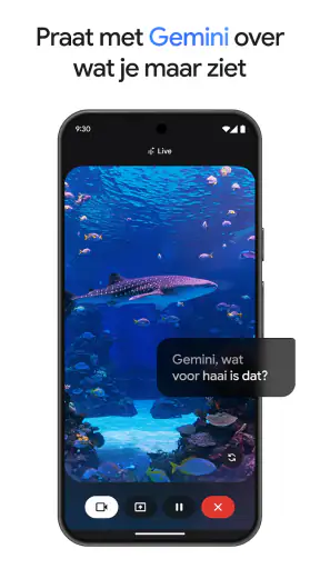 Google Gemini screenshot