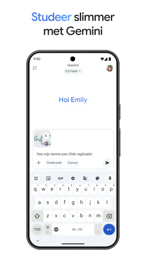 Google Gemini screenshot