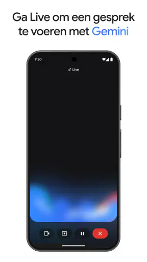 Google Gemini screenshot